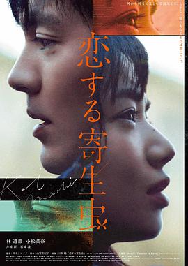 雾港旧账档案卡封面，标注上映年份 2019 与片种剧情片